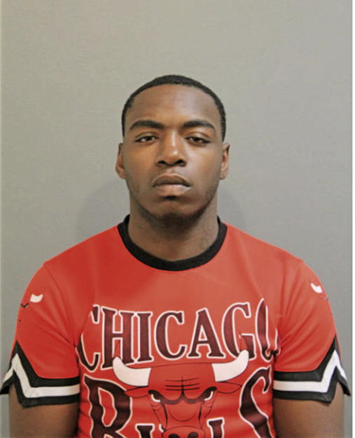 MICHAEL E HULEY, Cook County, Illinois