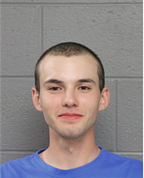 JAMES D LEWANDOWSKI, Cook County, Illinois