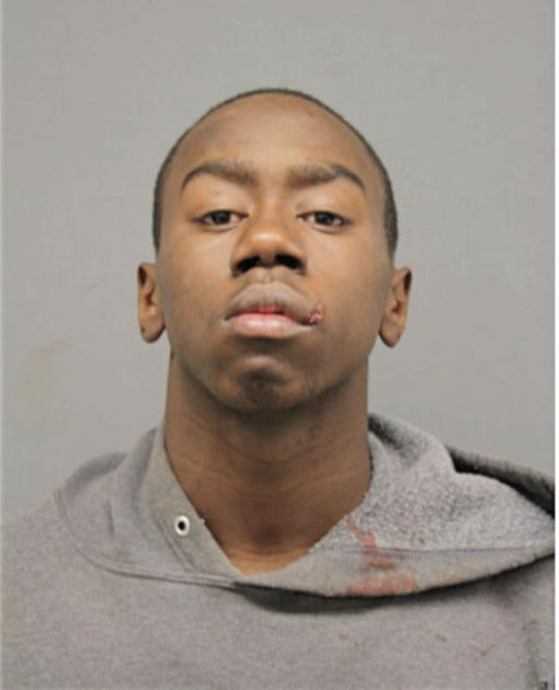 ROD M LEWIS, Cook County, Illinois