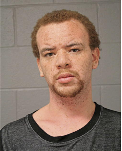 NYERERE L LLOYD, Cook County, Illinois