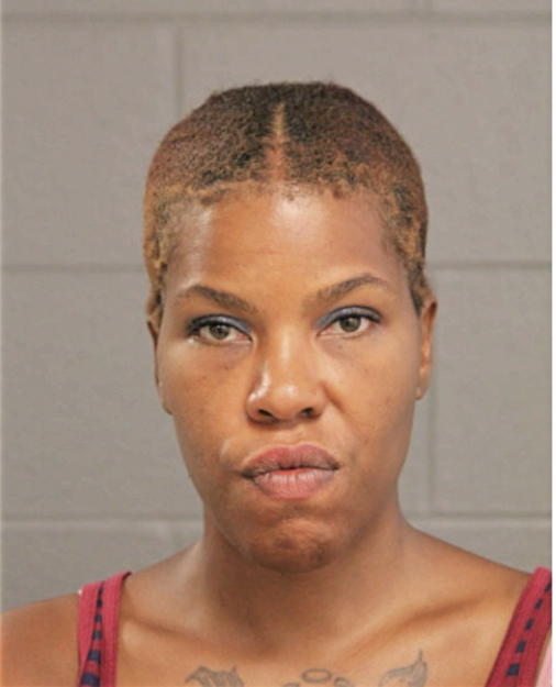 MICHELLE M CRAIG, Cook County, Illinois