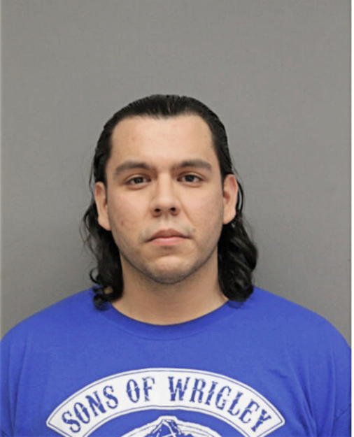 ALBERTO A MARTINEZ, Cook County, Illinois