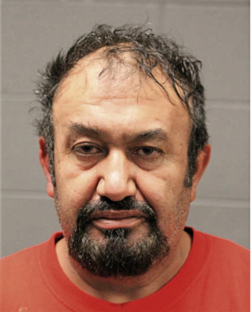 MAGDALENO BRAVO MONTOYA, Cook County, Illinois