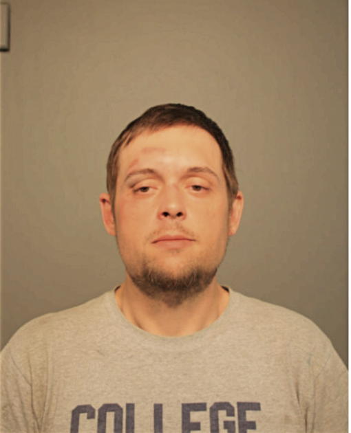 ALEX G MOULTON, Cook County, Illinois