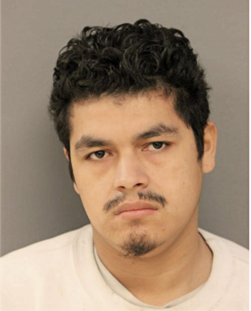 FERNANDO ORTEGA-CURIEL, Cook County, Illinois