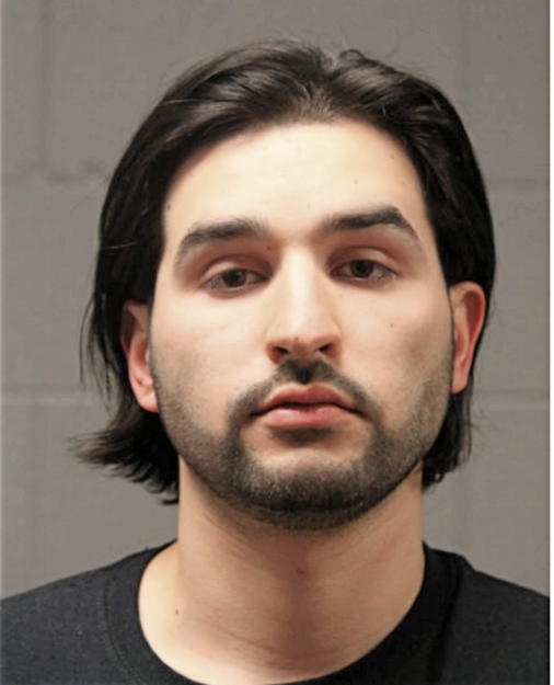 ANTHONY M RADECKI, Cook County, Illinois
