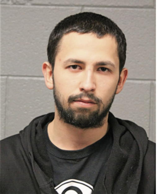 CARLOS E ROMERO, Cook County, Illinois