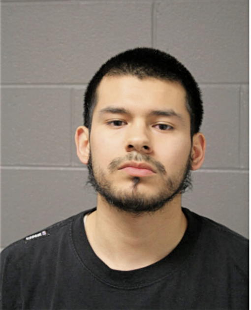 SANTINO M TORRES, Cook County, Illinois