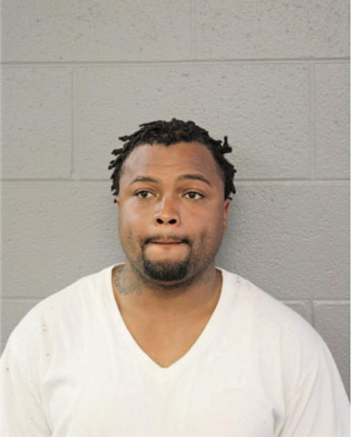 MICHAEL R ALLEN, Cook County, Illinois