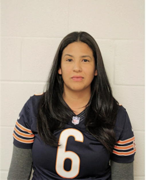 ILKA H ALVAREZ, Cook County, Illinois