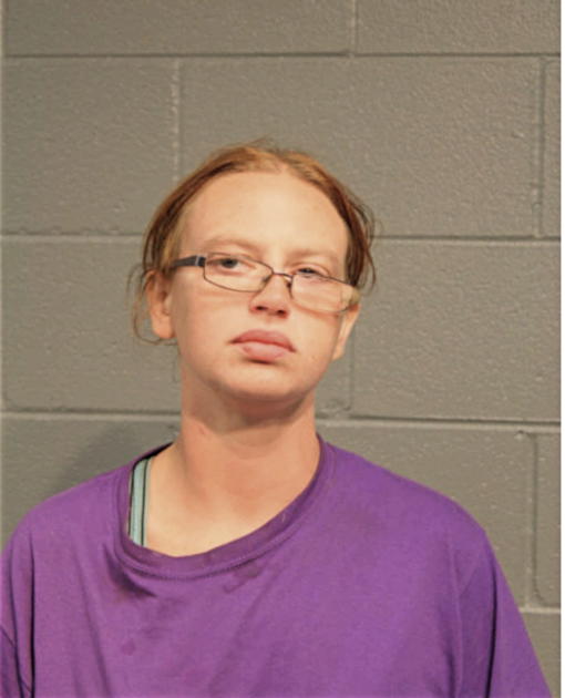ELIZABETH A APPLER, Cook County, Illinois