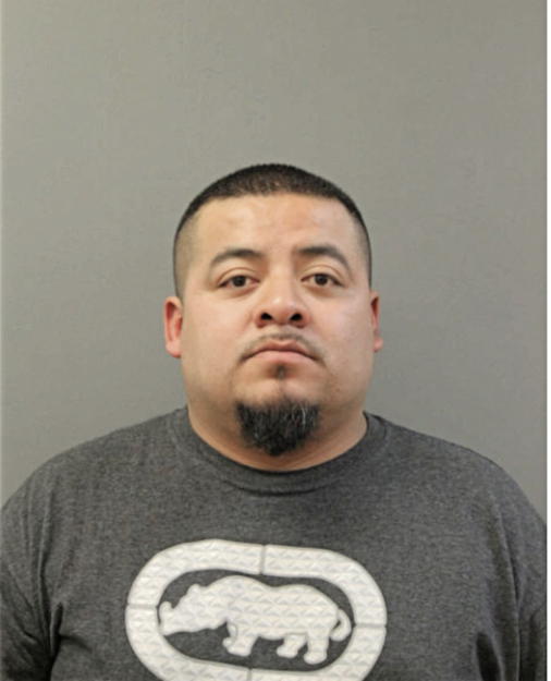 HUMBERTO BAHENA, Cook County, Illinois