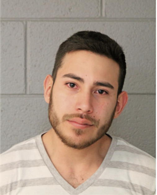 CRISTIAN E BARAJAS, Cook County, Illinois