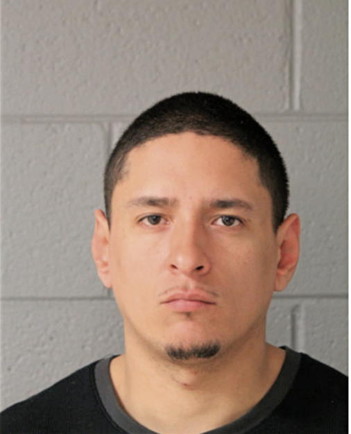 JOSE E CARRASCO, Cook County, Illinois