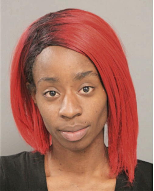 KRISTINA L COPPAGE-LEWIS, Cook County, Illinois