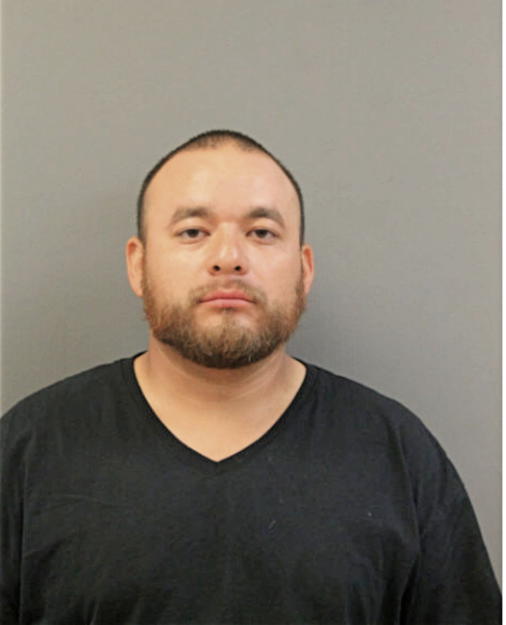 ANDREW DIAZ, Cook County, Illinois