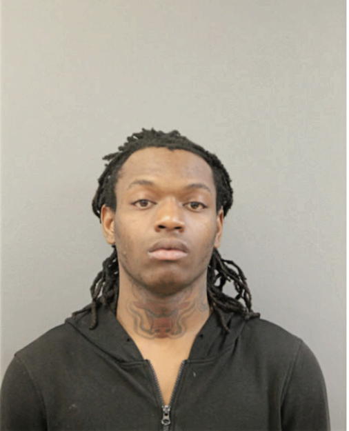 TERRELL S DICKERSON, Cook County, Illinois