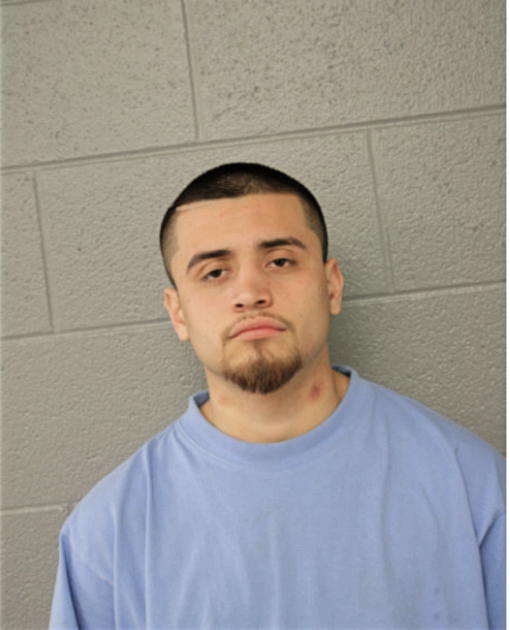 LUIS C DUARTE, Cook County, Illinois