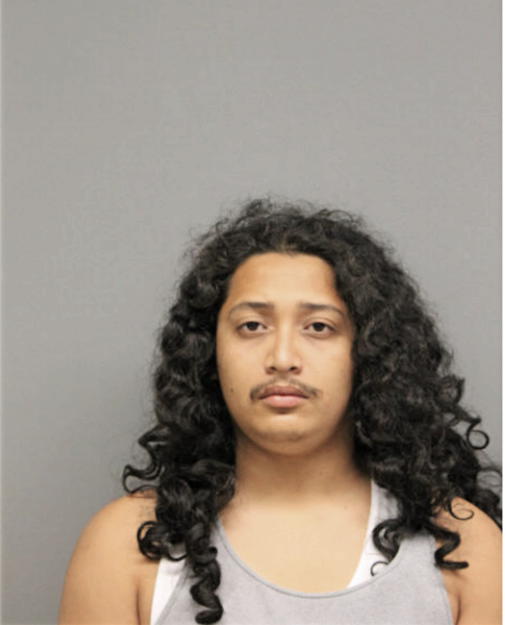 JUAN F CASTREJON, Cook County, Illinois