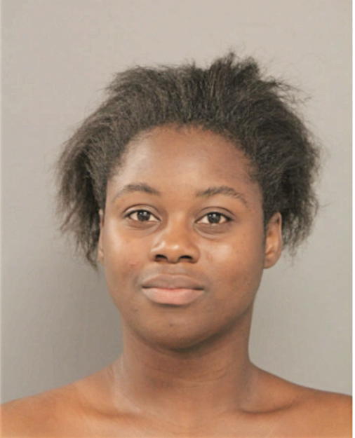 TANEKA L HAYDEN, Cook County, Illinois