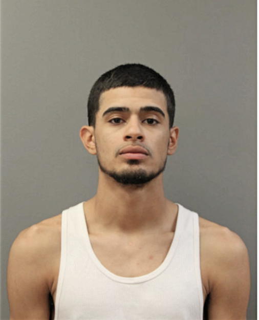 BRIAN J HERNANDEZ, Cook County, Illinois