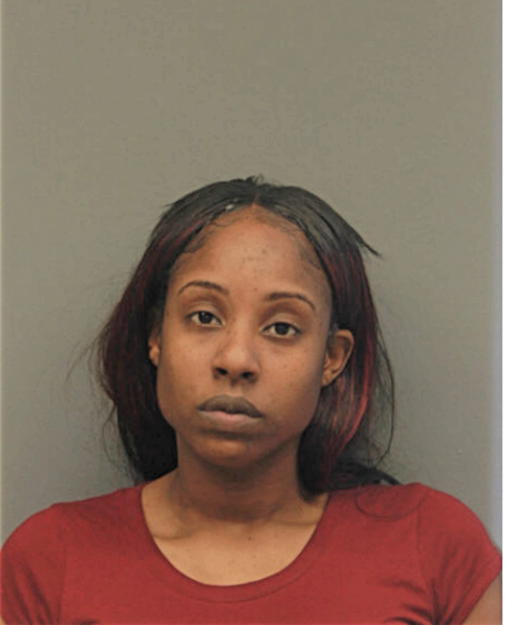 BRITTANY R HILL, Cook County, Illinois