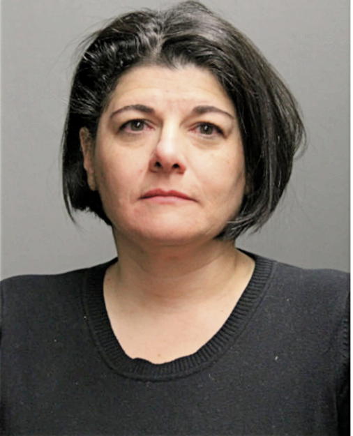 AMIE G KLUJIAN, Cook County, Illinois
