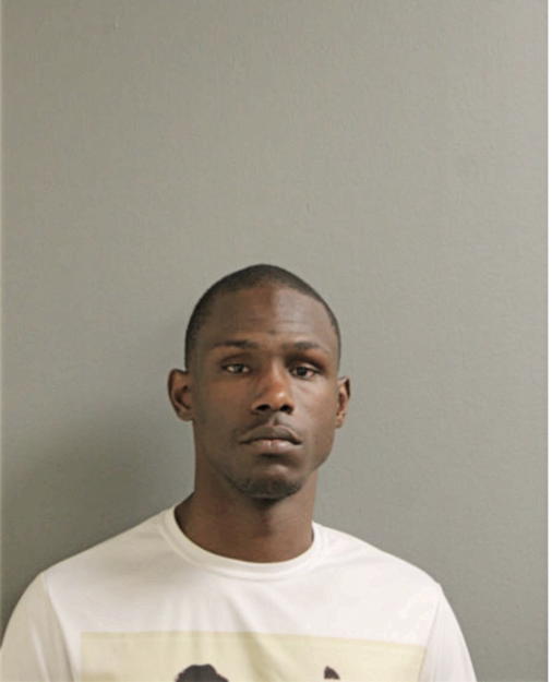 RAYSHAWN D LAND, Cook County, Illinois