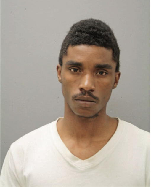 GREG P LEE, Cook County, Illinois