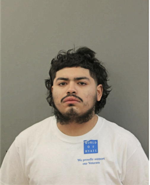 ALEXANDER MARTINEZ, Cook County, Illinois