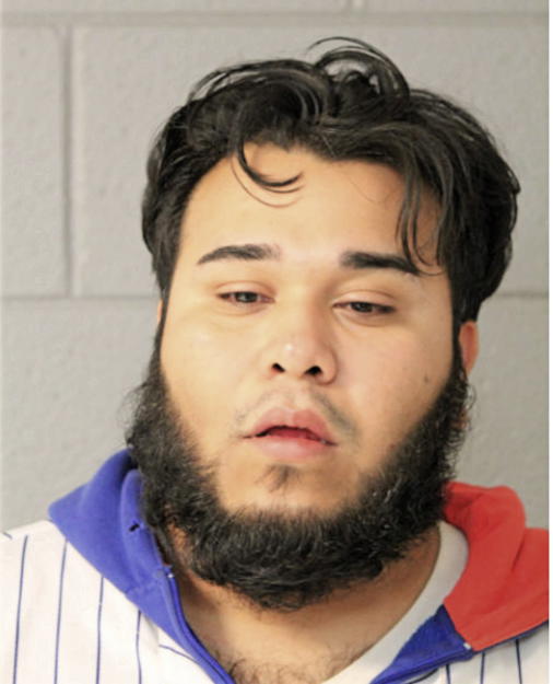 LUIS A NAJERA, Cook County, Illinois