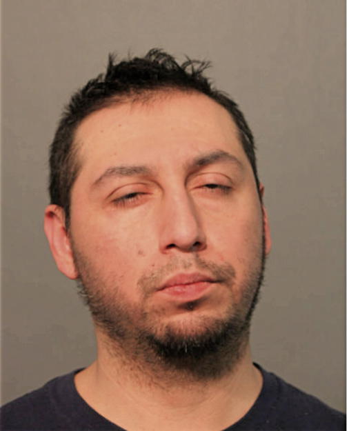 SAUL PINA, Cook County, Illinois