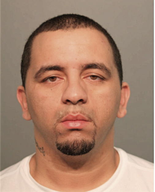 ANGEL L RIVERA, Cook County, Illinois