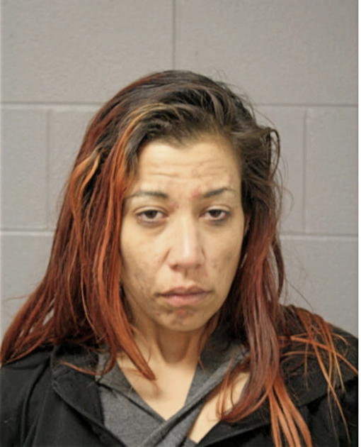 ANGELA L ROMAN, Cook County, Illinois