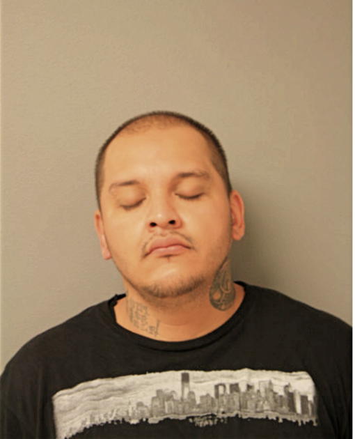 MARCELINO M RUIZ, Cook County, Illinois