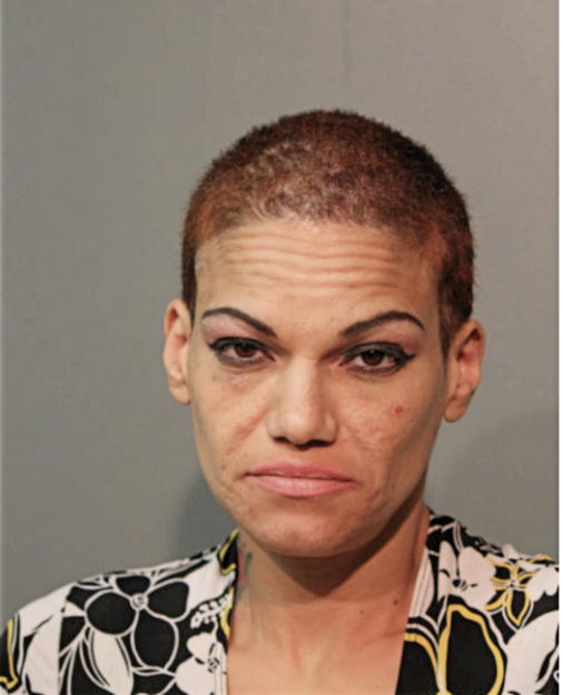 MARYSOL SANTANA, Cook County, Illinois