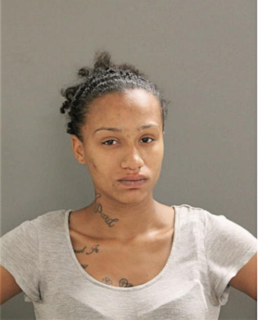 ASHLEY K STEPHENS, Cook County, Illinois