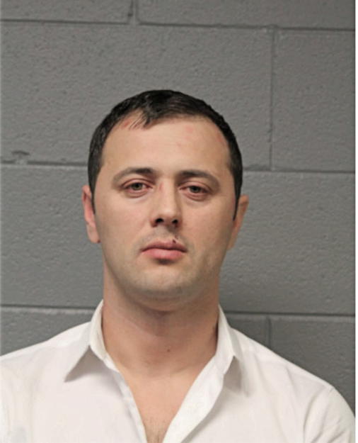 BASHKIM TERZIJA, Cook County, Illinois