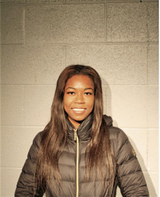 BRITTANY E TISDALE, Cook County, Illinois