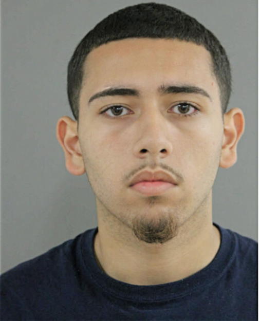 ANGEL E TORRES, Cook County, Illinois