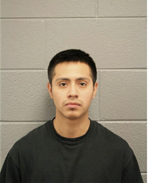 LUIS M VELEZ, Cook County, Illinois