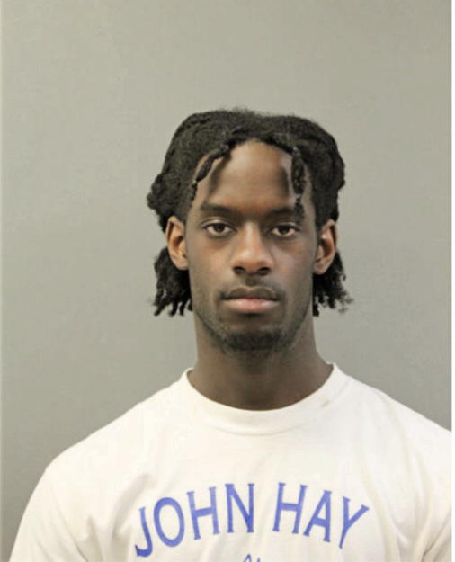 PATRICK J WILSON, Cook County, Illinois