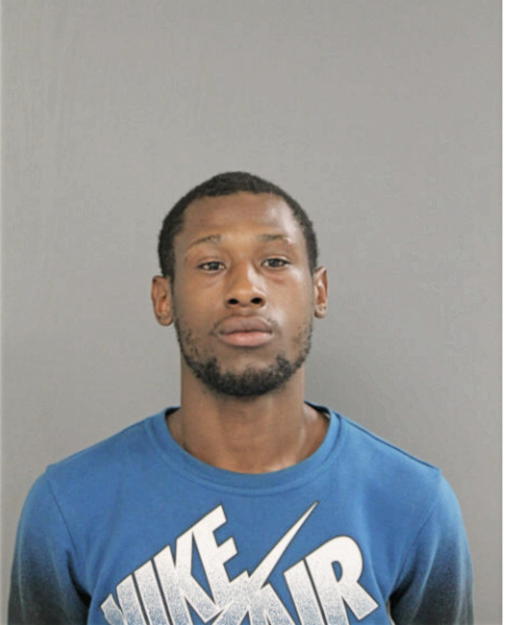 MICHAEL C WRIGHT, Cook County, Illinois