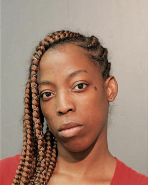 BRITNEE Y BANNISTER, Cook County, Illinois