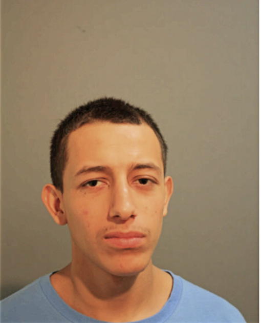 DANIEL J BECERRIL, Cook County, Illinois