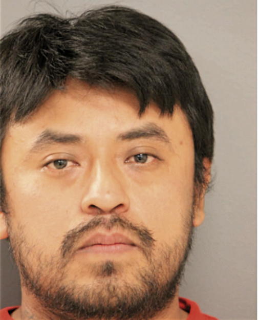 LUIS M BELMONT, Cook County, Illinois