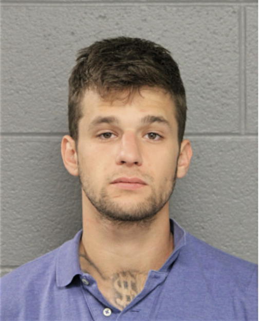 ALEXANDER R BERGERON, Cook County, Illinois