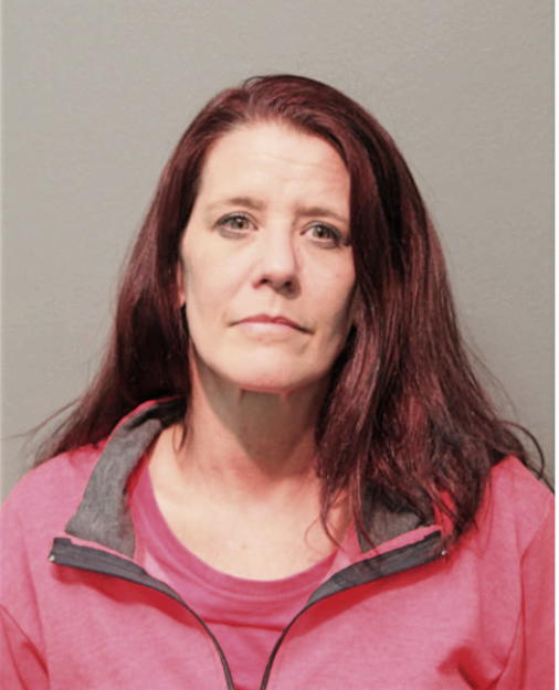 MEGAN M BUECHEL, Cook County, Illinois