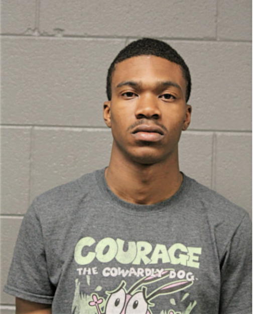 MICHAEL R COBB, Cook County, Illinois