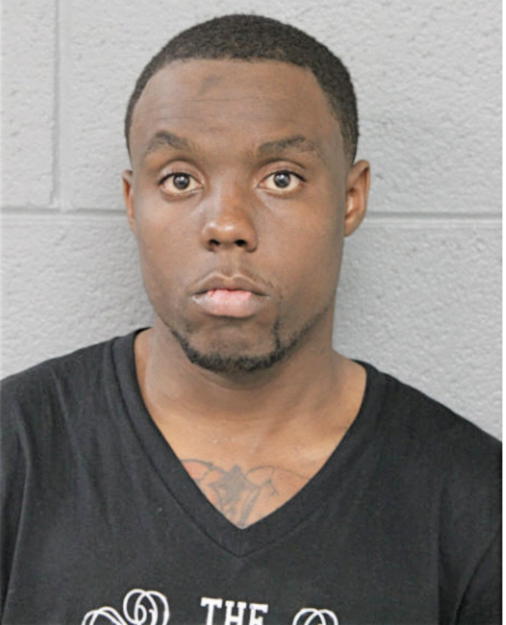 JERRY P FORD, Cook County, Illinois